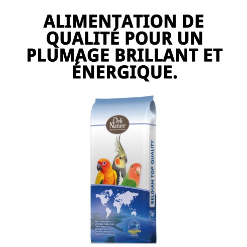 Grands Perruches Sans Tournesols 20 kg pour Cacatoès