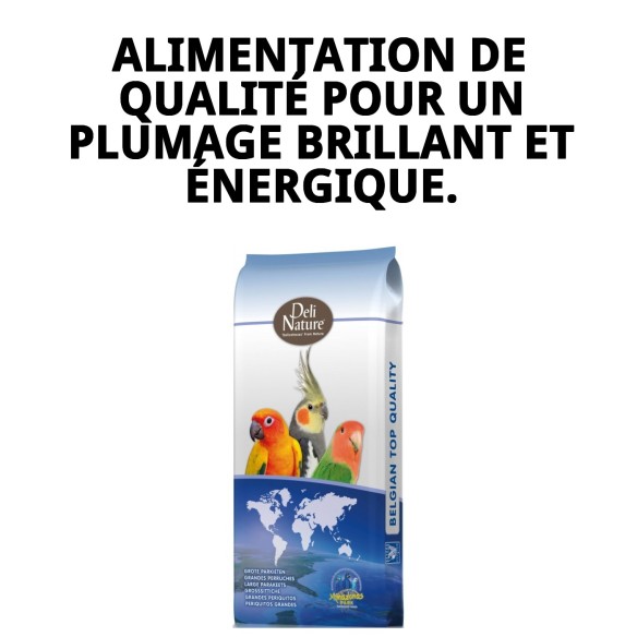 Grands Perruches Sans Tournesols 20 kg pour Cacatoès