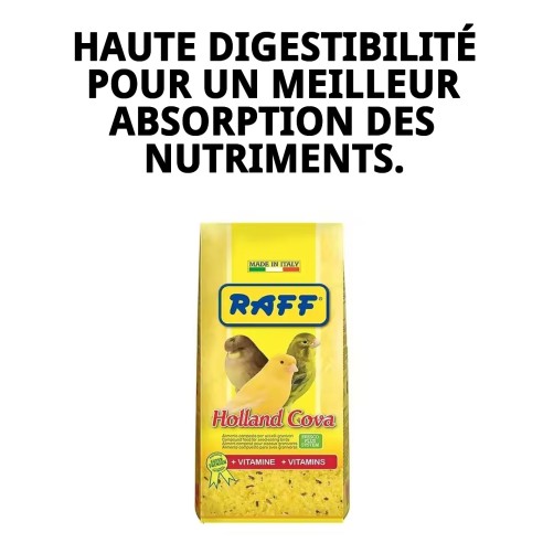 Pâte d'élevage RAFF Holland Cova 300g pour oiseaux en cage.
