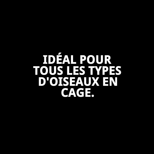 Pâte d'élevage RAFF Holland Cova 300g pour oiseaux en cage.