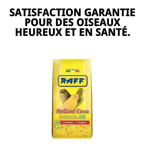 Pâte d'élevage RAFF Holland Cova 300g pour oiseaux en cage.