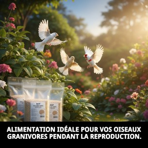 Pâte de élevage RAFF Holland White 4kg pour oiseaux sans colorant. 2