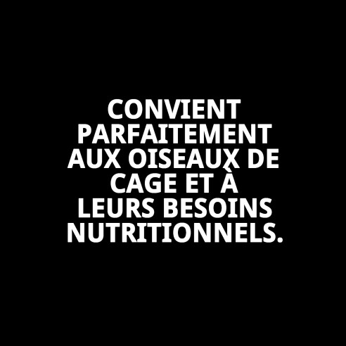 Pâte de élevage RAFF Holland White 4kg pour oiseaux sans colorant.