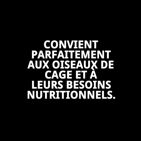 Pâte de élevage RAFF Holland White 4kg pour oiseaux sans colorant.