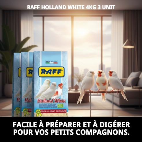 Pâte de élevage RAFF Holland White 4kg pour oiseaux sans colorant.