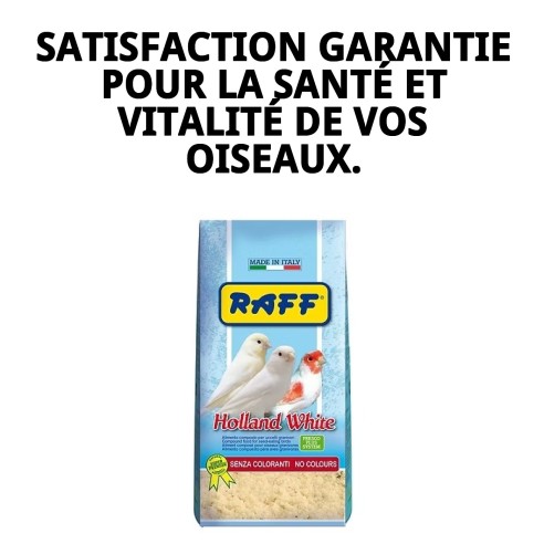 Pâte de élevage RAFF Holland White 4kg pour oiseaux sans colorant.