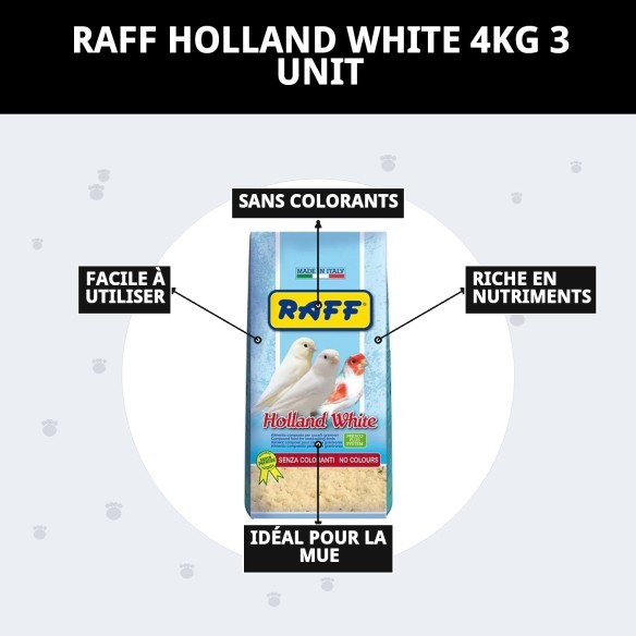 Pâte de élevage RAFF Holland White 4kg pour oiseaux sans colorant.