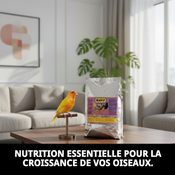 Aliment complémentaire pour oiseaux RAFF SUPERBO