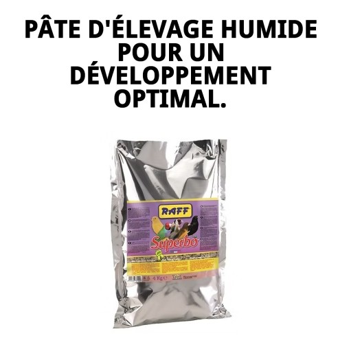 Aliment complémentaire pour oiseaux RAFF SUPERBO