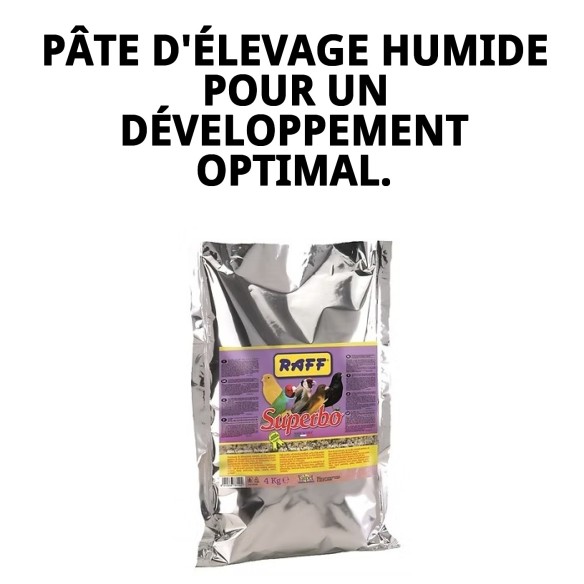 Aliment complémentaire pour oiseaux RAFF SUPERBO