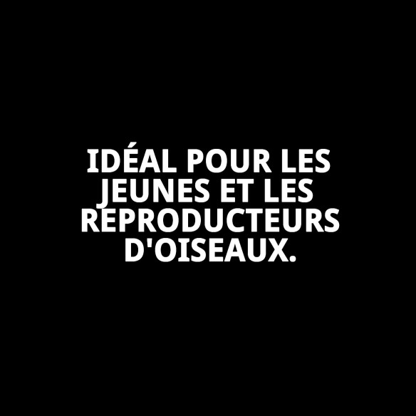 Aliment complémentaire pour oiseaux RAFF SUPERBO