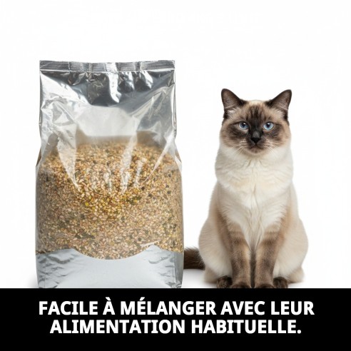 Aliment complémentaire pour oiseaux RAFF SUPERBO