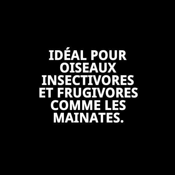 Raff Real Pâture 1 kg : Nutrition idéale pour vos oiseaux