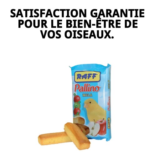 Bizcochos RAFF PALLINO MELA-5 : En-cas sain pour oiseaux.