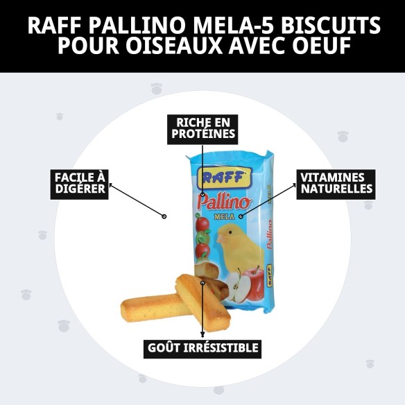 Bizcochos RAFF PALLINO MELA-5 : En-cas sain pour oiseaux.