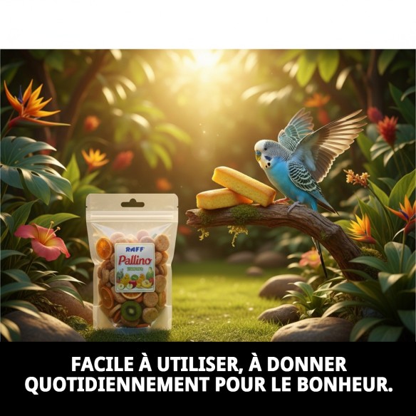 Gâteaux RAFF PALLINO FRUITS : Nutrition et Saveur pour Oiseaux