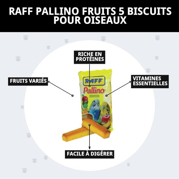 Gâteaux RAFF PALLINO FRUITS : Nutrition et Saveur pour Oiseaux