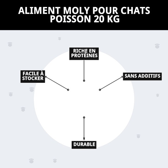 PENSÉE MOLY CHATS POISSON 20 KG