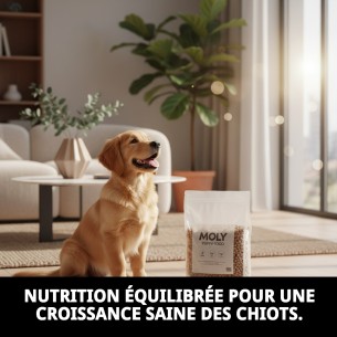 PIENSO MOLY CHIOTS 4 KG 2