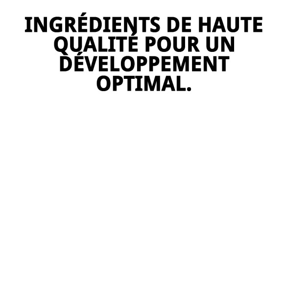 PIENSO MOLY CHIOTS 4 KG