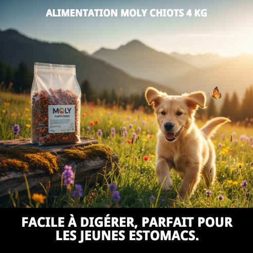 PIENSO MOLY CHIOTS 4 KG