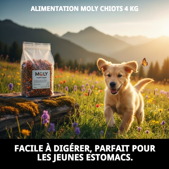 PIENSO MOLY CHIOTS 4 KG