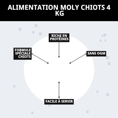 PIENSO MOLY CHIOTS 4 KG