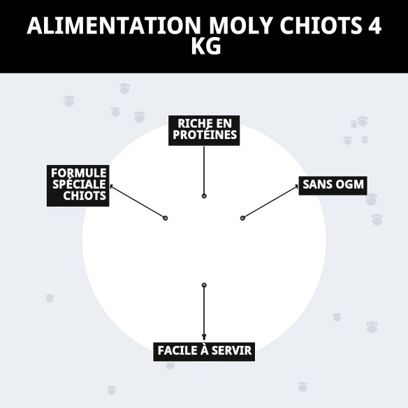 PIENSO MOLY CHIOTS 4 KG