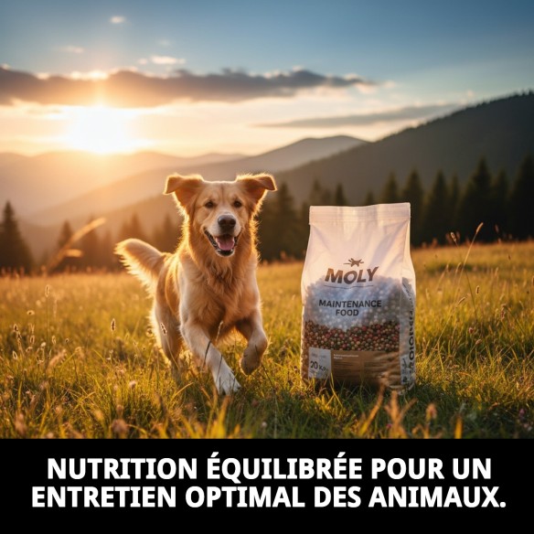 PIENSO MOLY ENTRETIEN 20 KG