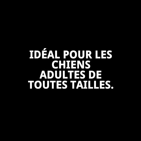 PIENSO MOLY ENTRETIEN 20 KG