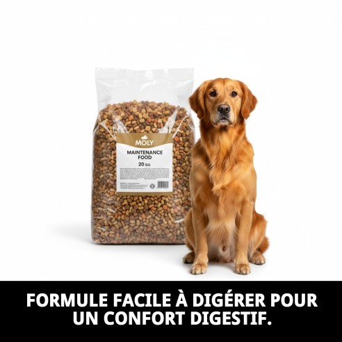 PIENSO MOLY ENTRETIEN 20 KG