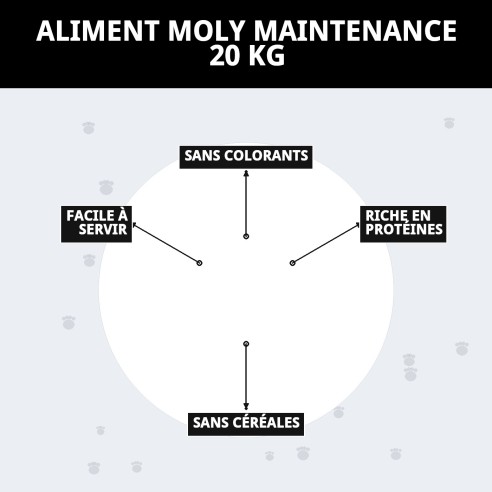 PIENSO MOLY ENTRETIEN 20 KG