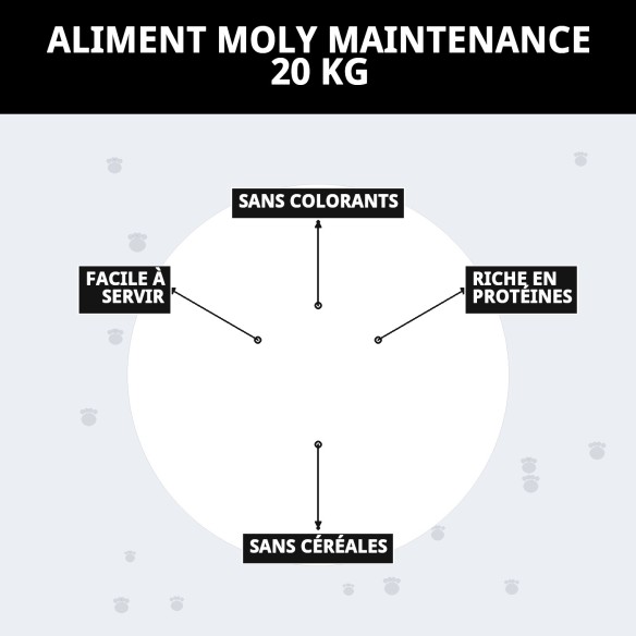 PIENSO MOLY ENTRETIEN 20 KG