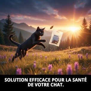 ADTAB OTC CHAT 12 MG 0,5 - 2 KG 2