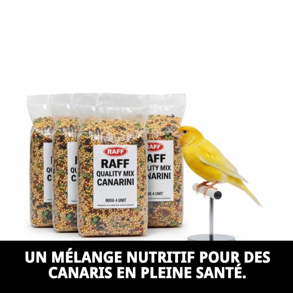 MÉLANGE RAFF DE QUALITÉ CANARINI 900G 4 UNITÉS