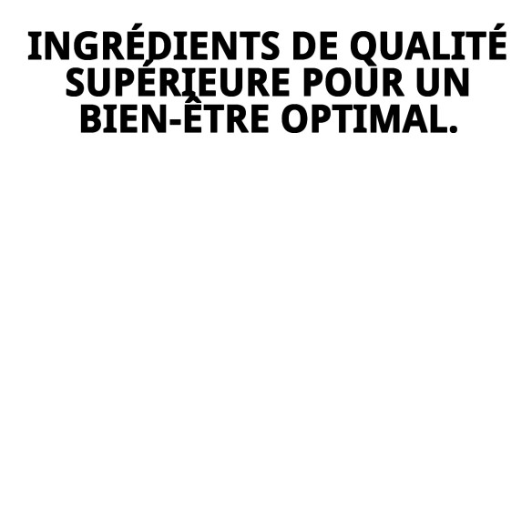 MÉLANGE RAFF DE QUALITÉ CANARINI 900G 4 UNITÉS