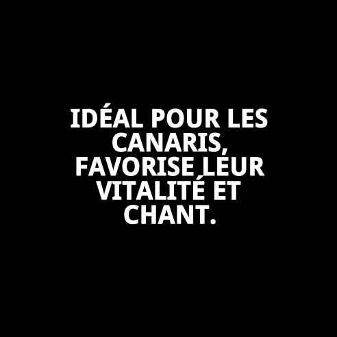 MÉLANGE RAFF DE QUALITÉ CANARINI 900G 4 UNITÉS