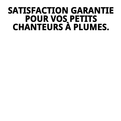 MÉLANGE RAFF DE QUALITÉ CANARINI 900G 4 UNITÉS