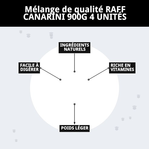 MÉLANGE RAFF DE QUALITÉ CANARINI 900G 4 UNITÉS