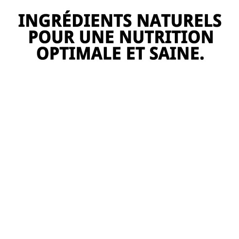 RAFF FRUTTOVO 400G 5 UNIT se traduce al francés como:

RAFF FRUTTOVO 400G 5 UNIT (la traducción no cambia, ya que se trata de un