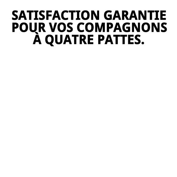 RAFF FRUTTOVO 400G 5 UNIT se traduce al francés como:

RAFF FRUTTOVO 400G 5 UNIT (la traducción no cambia, ya que se trata de un