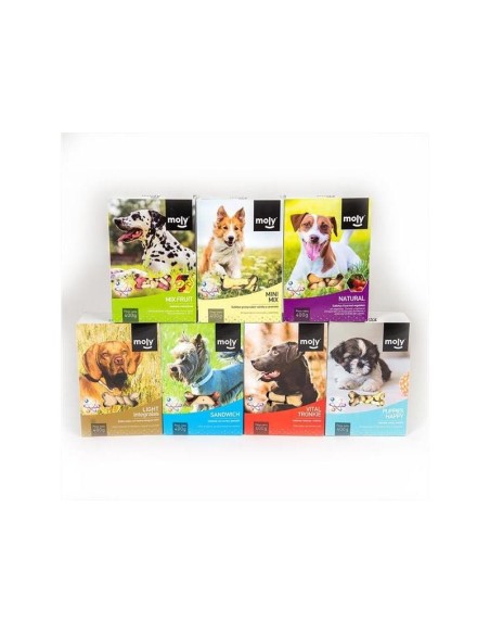 GALLETAS MACEDONIA 400 GR