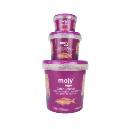 MOLY GOLDFISH COLOR 55 gr - 