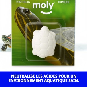 Moly Calcium pour Grandes Tortues - Renforce leur Carapace 2