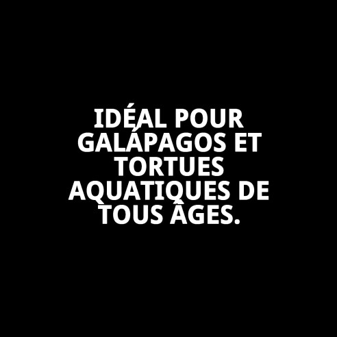 Moly Calcium pour Grandes Tortues - Renforce leur Carapace