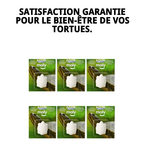 Moly Calcium pour Grandes Tortues - Renforce leur Carapace