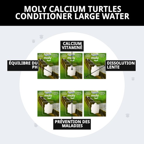 Moly Calcium pour Grandes Tortues - Renforce leur Carapace