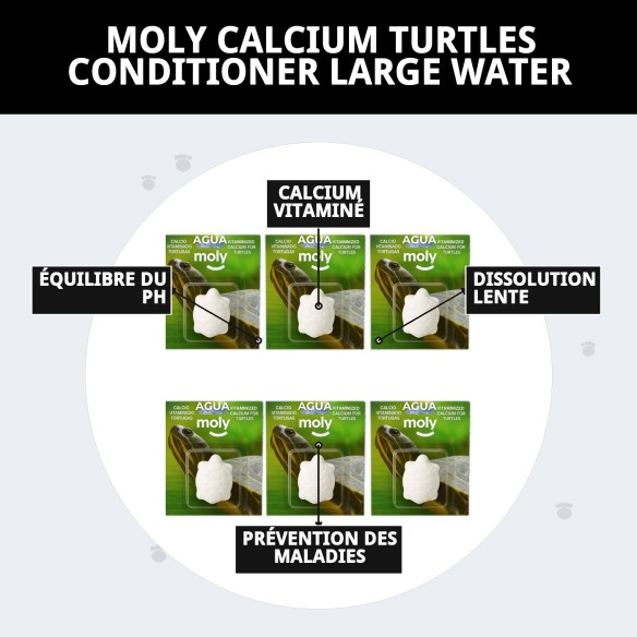 Moly Calcium pour Grandes Tortues - Renforce leur Carapace
