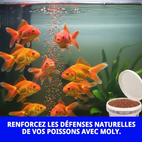 Moly Goldfish Color Granulé 275g - Nourriture pour Poissons