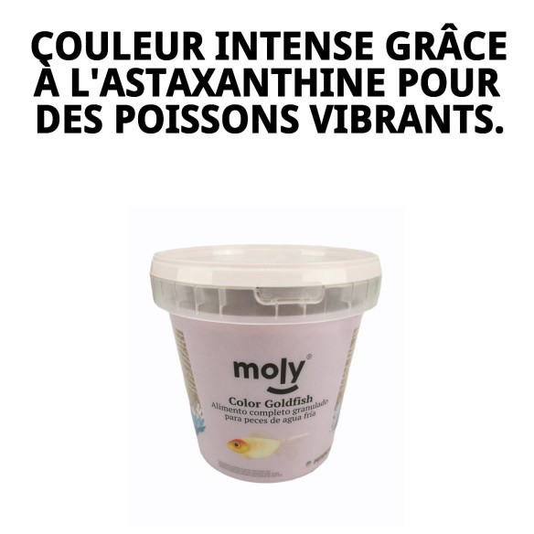 Moly Goldfish Color Granulé 275g - Nourriture pour Poissons